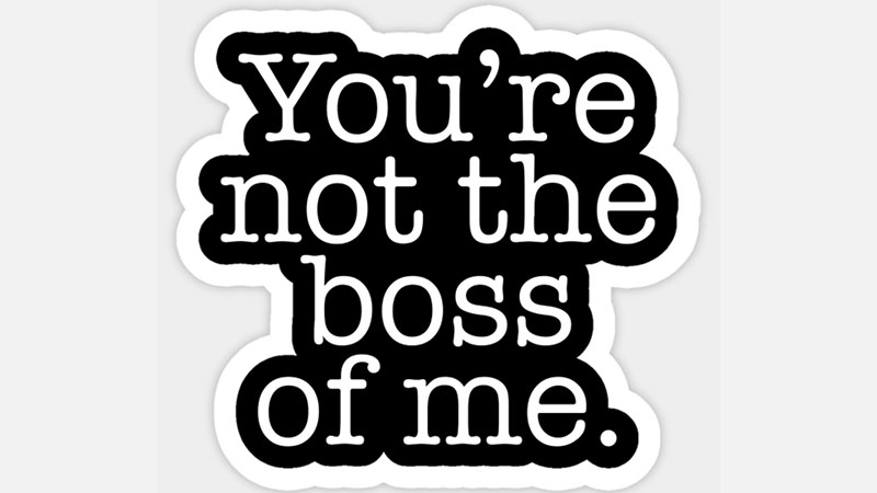 Owning Up to Level&nbsp;Up